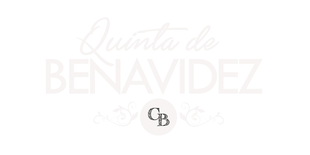 Quinta de Benavídez — Casa Cura Brochero